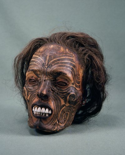 Stammesjefens hode, tatovert og mumifisert, maori-sivilisasjon av Maori Maori