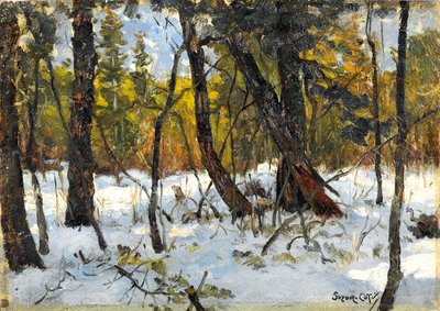 Skog om vinteren (olje på papir lagt om bord) av Marc Aurele de Roy Suzor Cote
