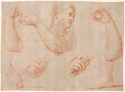 Studie av en ung kvinne som spiller en tamburin, og studier av en arm, hender og føtter..., ca. 1711. av Marcantonio Franceschini