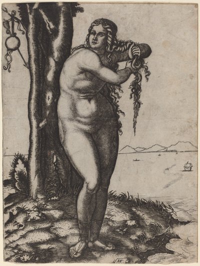 Venus