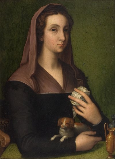 Et portrett av en dame (olje på panel) av Marcello (follower of) Venusti