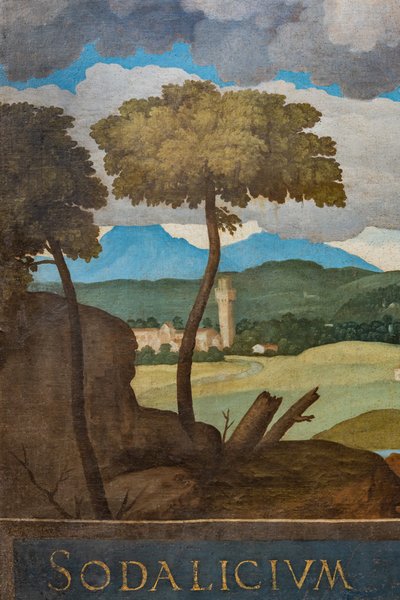 Detalj av byen Vicenza av Marcello Fogolino