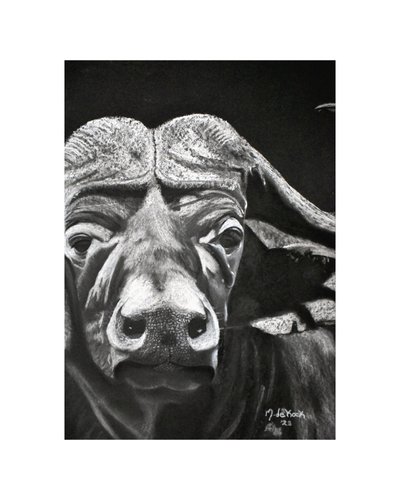 Buffalo av Marchelle de Kock