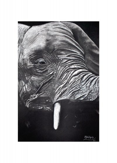 Portrett av en majestetisk elefant av Marchelle de Kock