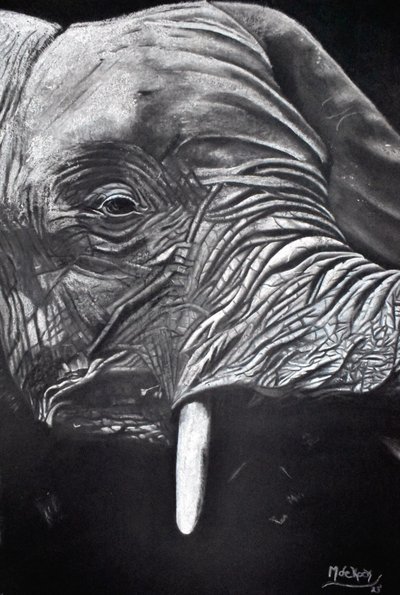 Portrett av en majestetisk elefant av Marchelle de Kock