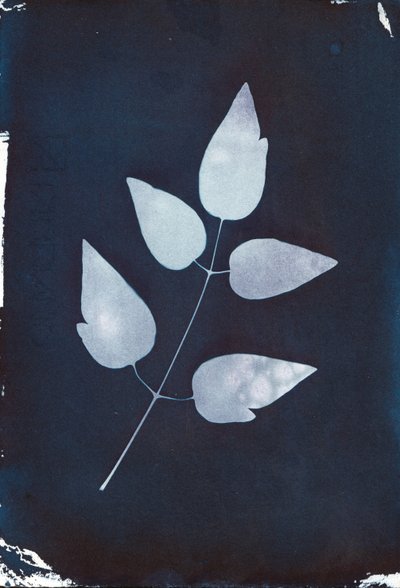  av Marco Campedelli