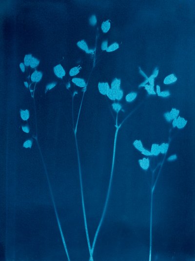  av Marco Campedelli