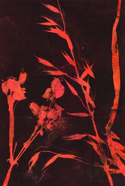  av Marco Campedelli