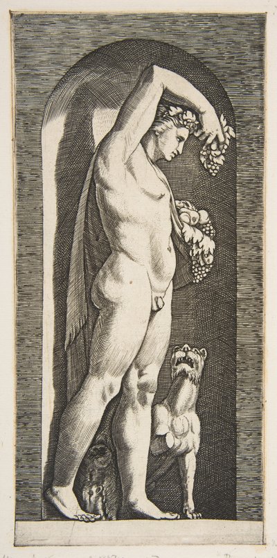 Bacchus står i en nisje og holder druer i sin løftede høyre hånd, frukt i l..., ca. 1515-27. av Marco Dente