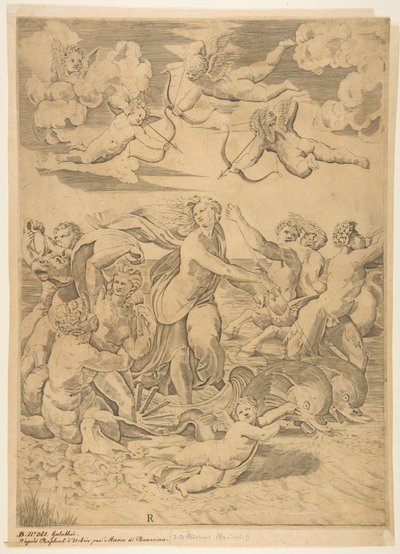 Galatea rir i et skjell trukket gjennom vannet av delfiner, en amor under og f..., ca. 1515-27. av Marco Dente
