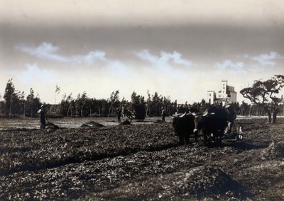 Pløying i Mussolinia, i provinsen Cagliari (s/hvitt bilde) av Marco Leporati