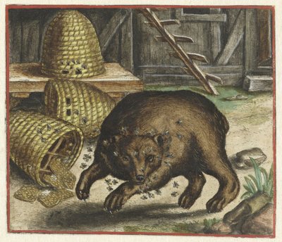 Fabel om bjørnen og biene av Marcus Gheeraerts (I)
