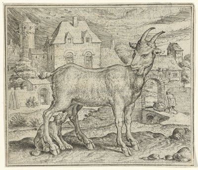 Fabel om geiten og den unge ulven av Marcus Gheeraerts (I)