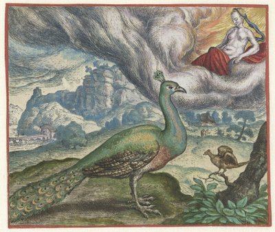 Fabel om påfuglen og nattergalen av Marcus Gheeraerts (I)