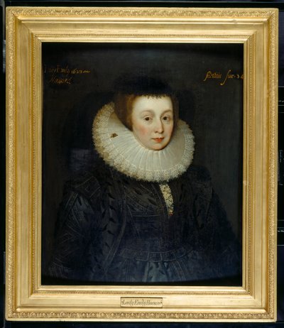 Lady Emily Howard av Marcus Gheeraerts