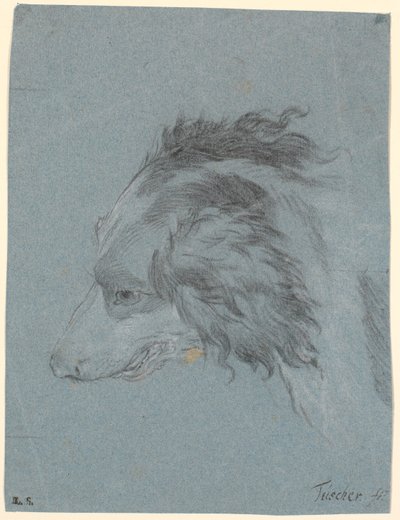 Et hundehode av Marcus Tuscher