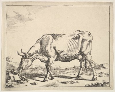 Ku, etter Paulus Potter. av Marcus de Bye