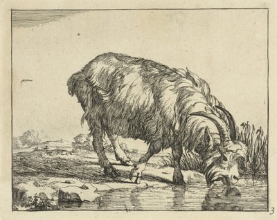 drikke geit Geiter og bukker (serietittel) av Marcus de Bye