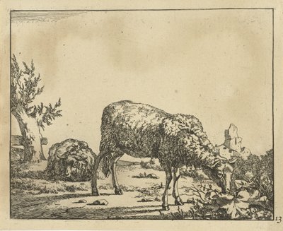 Beitende sau og liggende sau ved gjerde Sau (serietittel) av Marcus de Bye