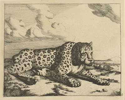 Leopard som ligger til høyre, poter til betrakteren Leoparder (serietittel) av Marcus de Bye