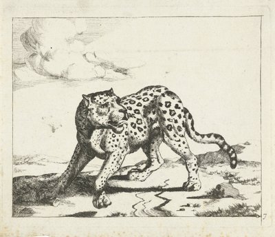 Leopard, stående til venstre, hodet til høyre Leoparder (serietittel) av Marcus de Bye