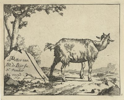 Stående geit sett bakfra Geiter og bukker (serietittel) av Marcus de Bye