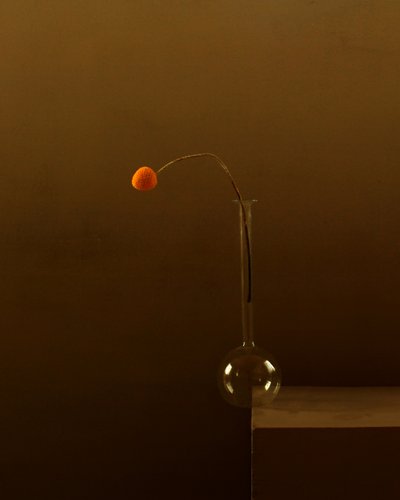 Minimalistisk oransje blomst av Margaret Halaby