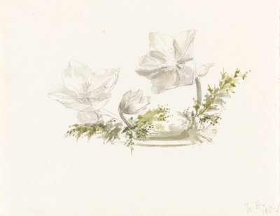  av Margaret Louisa Herschel