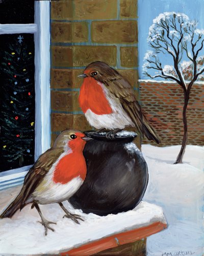 Robins i snøen av Margaret Loxton