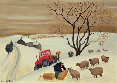 Ta høy til sauene med traktor av Margaret Loxton