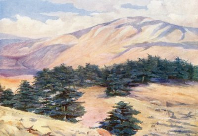  av Margaret Thomas