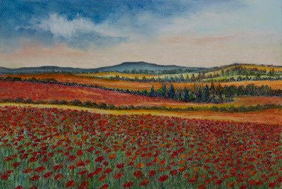 Valmuemarker..Flandern, 2020 (pastell) av Margo Starkey