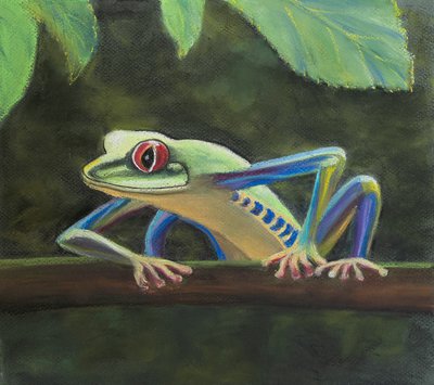 Trefrosk, 2020 (pastell) av Margo Starkey