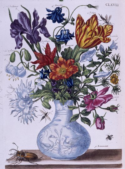 Bille og forskjellige blomster - dess. av Maria Sibylla Merian, n.d., ca. slutten av 1700-tallet av Maria Sibylla Merian