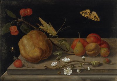 Stilleben med frukt, en gresshoppe og en sommerfugl, mellom 1670 og 1680. av Maria Sibylla Merian