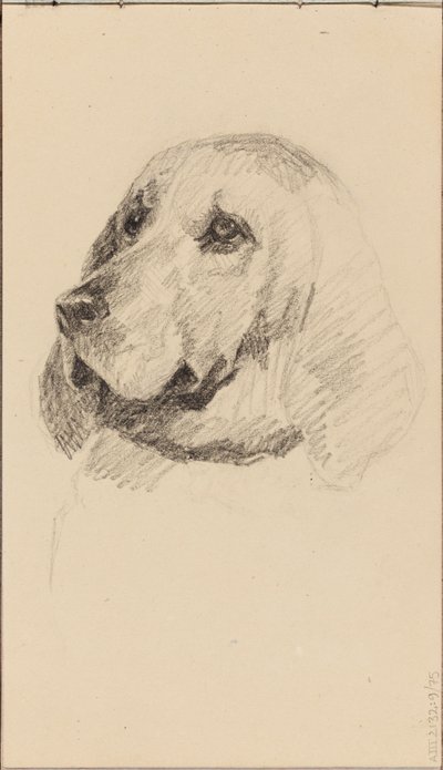 Hode av en hund av Maria Wiik