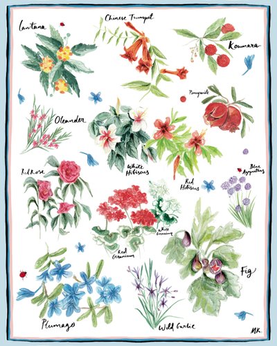 Middelhavshage, 2019 av Marianna Kulukundis