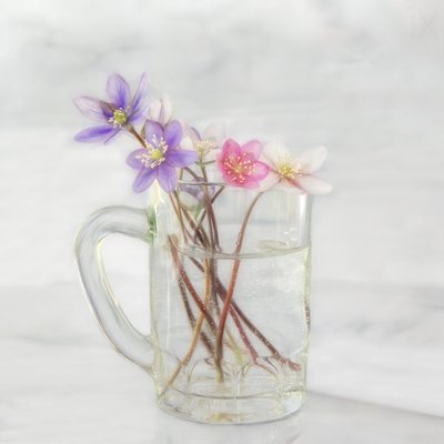 Delikate vårblomster av Marie-anne Stas