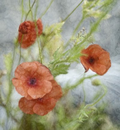  av Marie-anne Stas