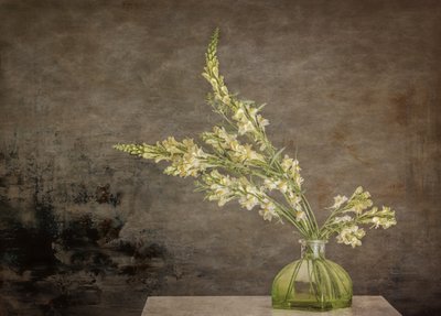 Rustikt blomsterstilleben av Marie-anne Stas
