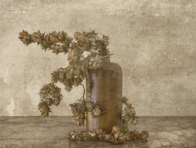 Rustikt stilleben med humle av Marie-anne Stas