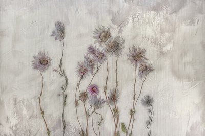 Blomster i myke pastellfarger av Marie-anne Stas