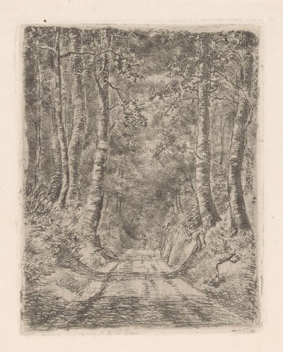 Skog langs en nedsunket vei av Marie Adolphine van der Goes van Dirxland