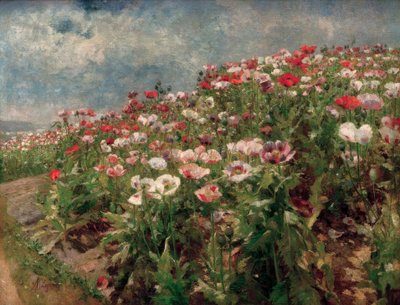 Blomstrende valmue, motiv fra St. Georgen ved Melk av Marie Egner
