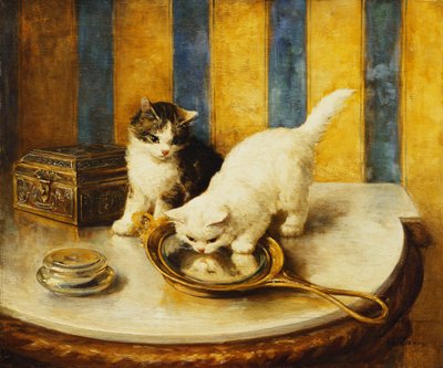 Feline refleksjoner av Marie Yvonne Laur