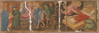 Scener fra Legenden om Saints Cosmas og Damian av Mariotto di Nardo