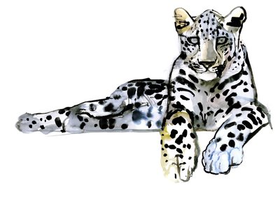 Arabisk leopard, 2008 av Mark Adlington