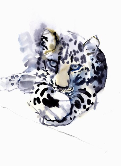 Arabisk leopard, 2008 av Mark Adlington