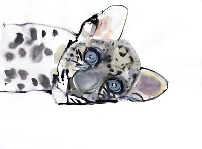 Arabisk leopard, 2008 av Mark Adlington