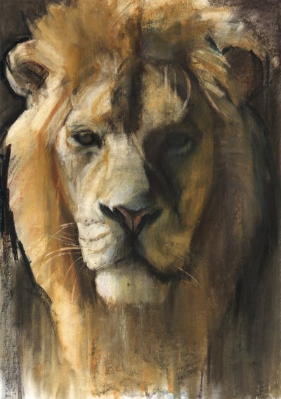 Asiatisk løve, 2015, (pigment, pastell og conté på papir) av Mark Adlington